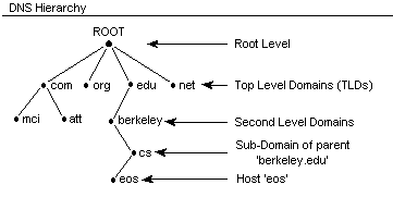 dns hierarchy